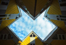 Japanese House in a Forest Landscape with Views of Trees and Sky